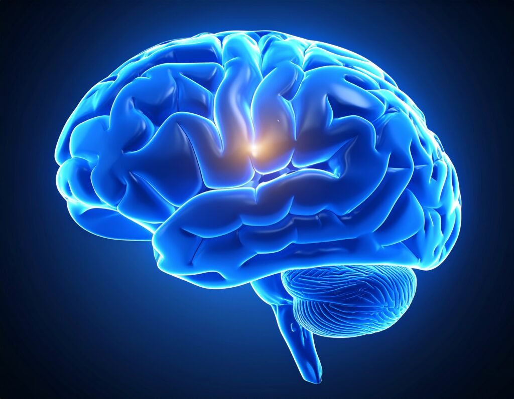 Blue Brain picture in 
